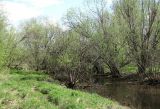 Северные окрестности Архангельска, image of landscape/habitat.