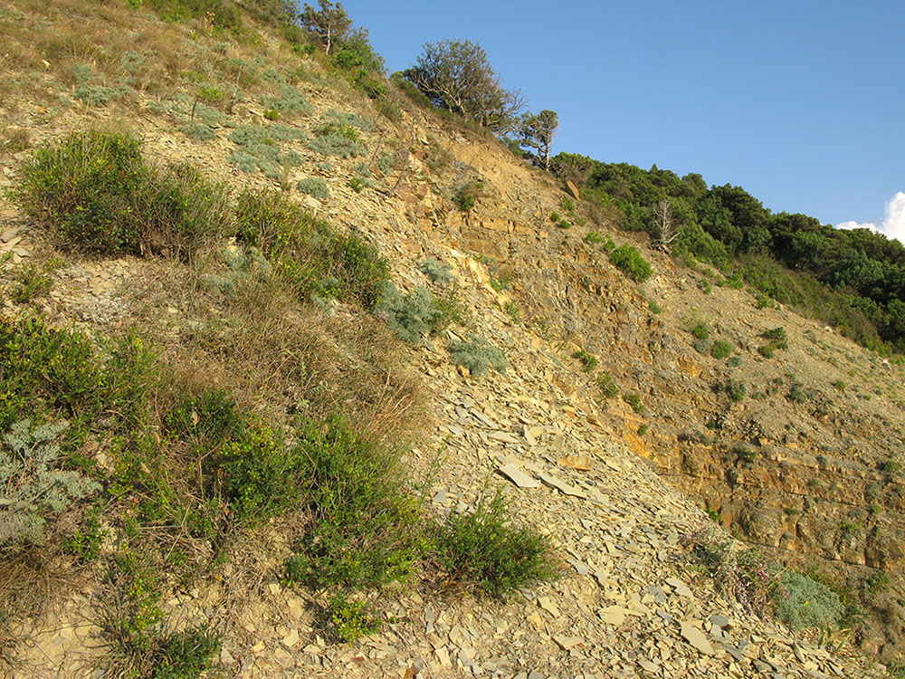 Большой Утриш, гора Солдатская, image of landscape/habitat.