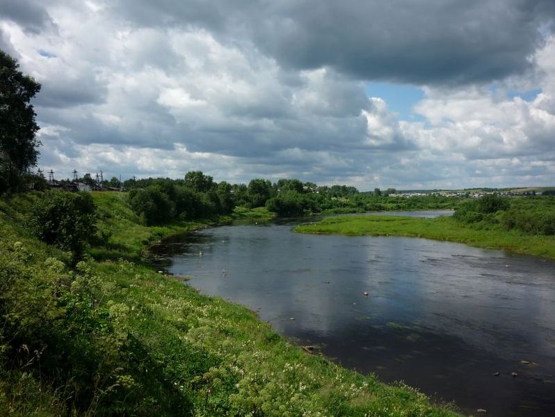 Усть-Шоноша, image of landscape/habitat.