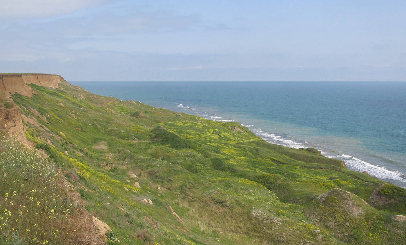 Железный Рог, image of landscape/habitat.