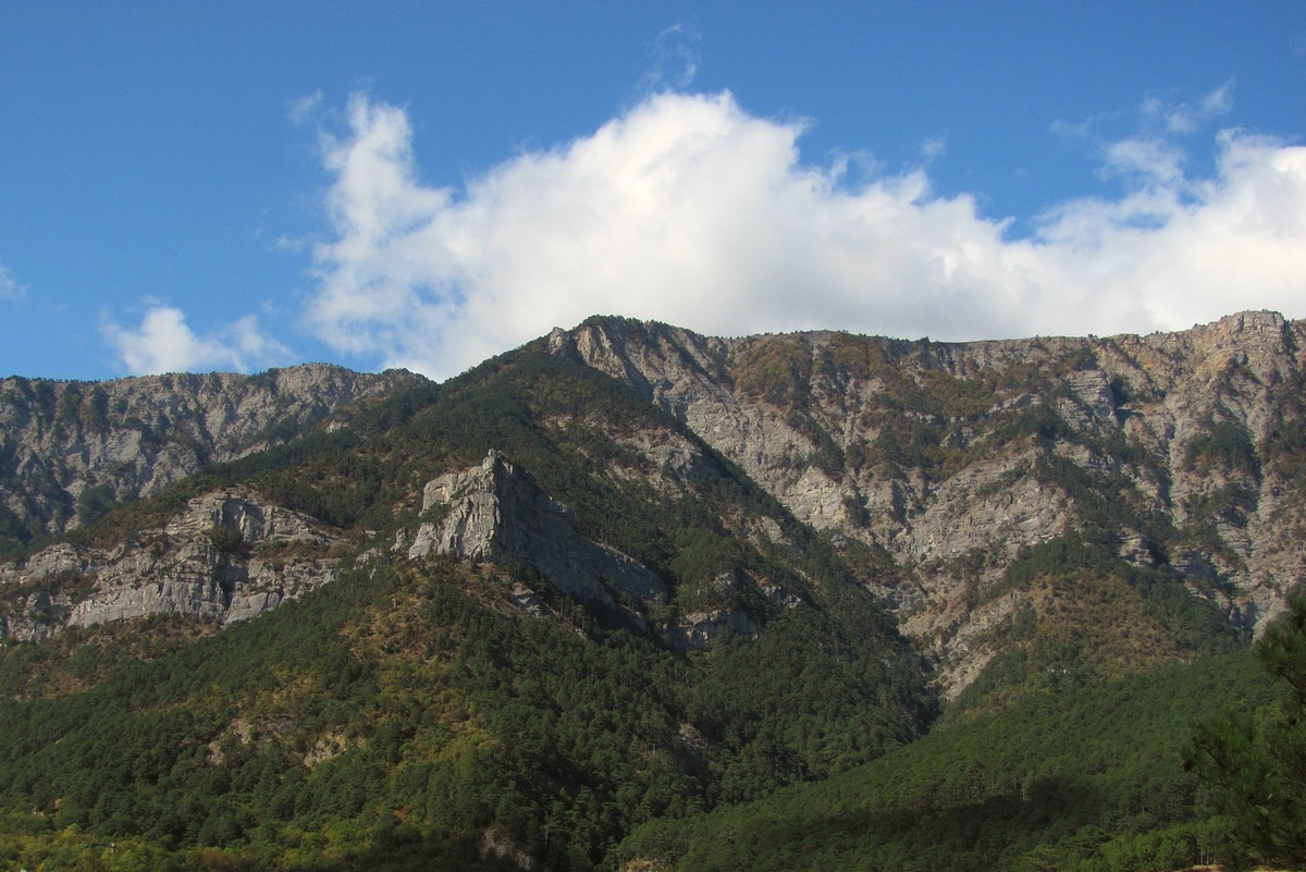 Ай-Петринская яйла, image of landscape/habitat.