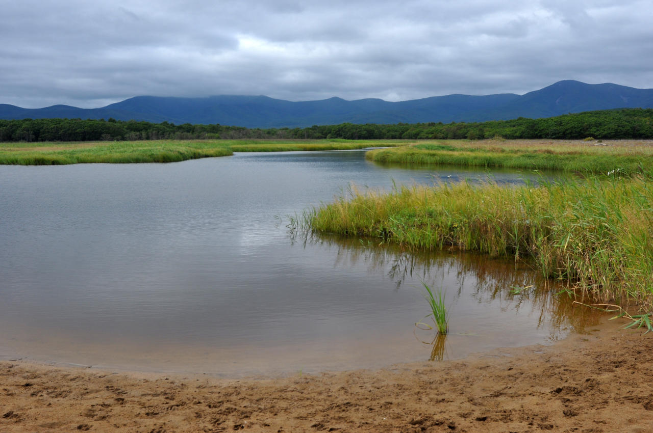 Бухта Голубичная, image of landscape/habitat.