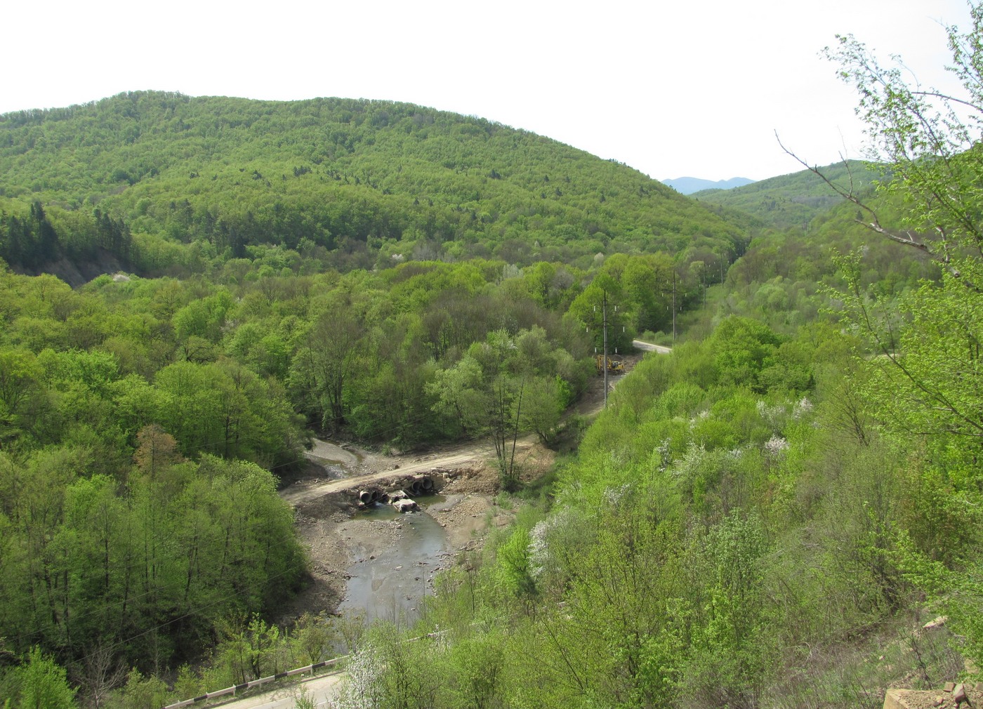 Новый, image of landscape/habitat.