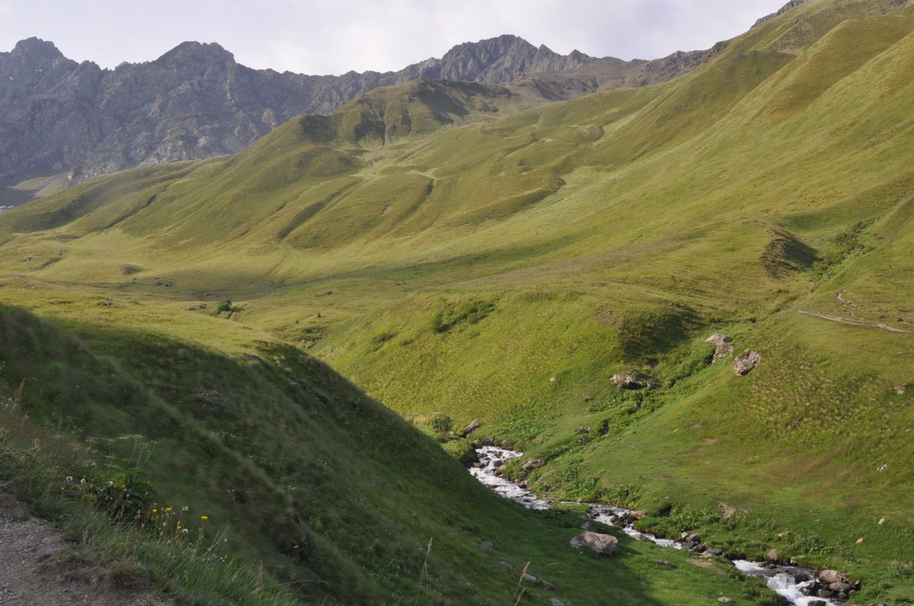 Долина ручья Чаухицхали, image of landscape/habitat.