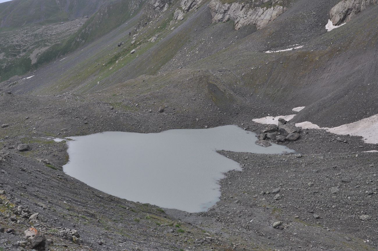 Окрестности озера Абуделаури, image of landscape/habitat.