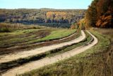 Дубна и окрестности, image of landscape/habitat.