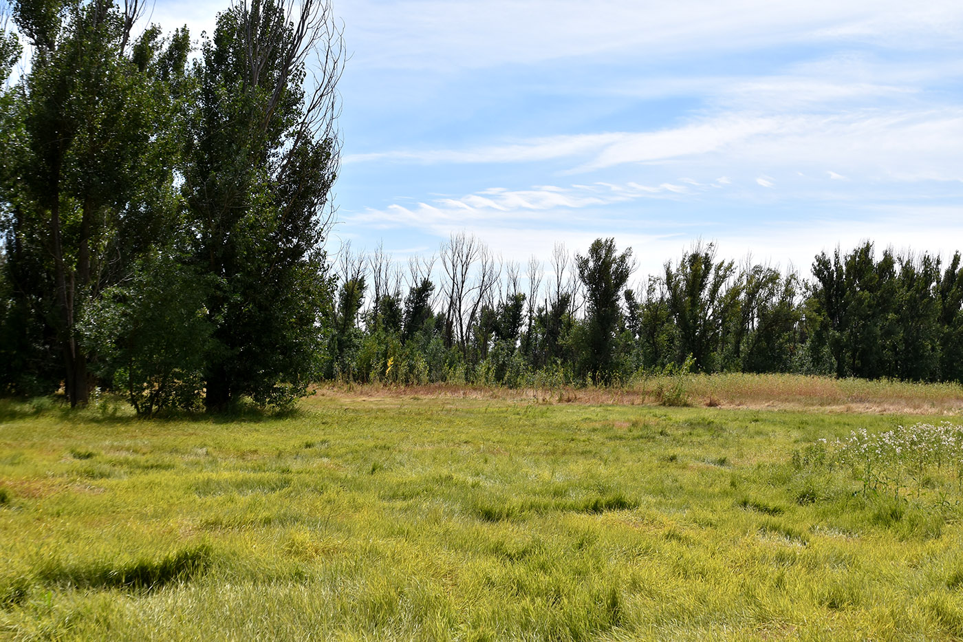 Остров Ильинский, image of landscape/habitat.