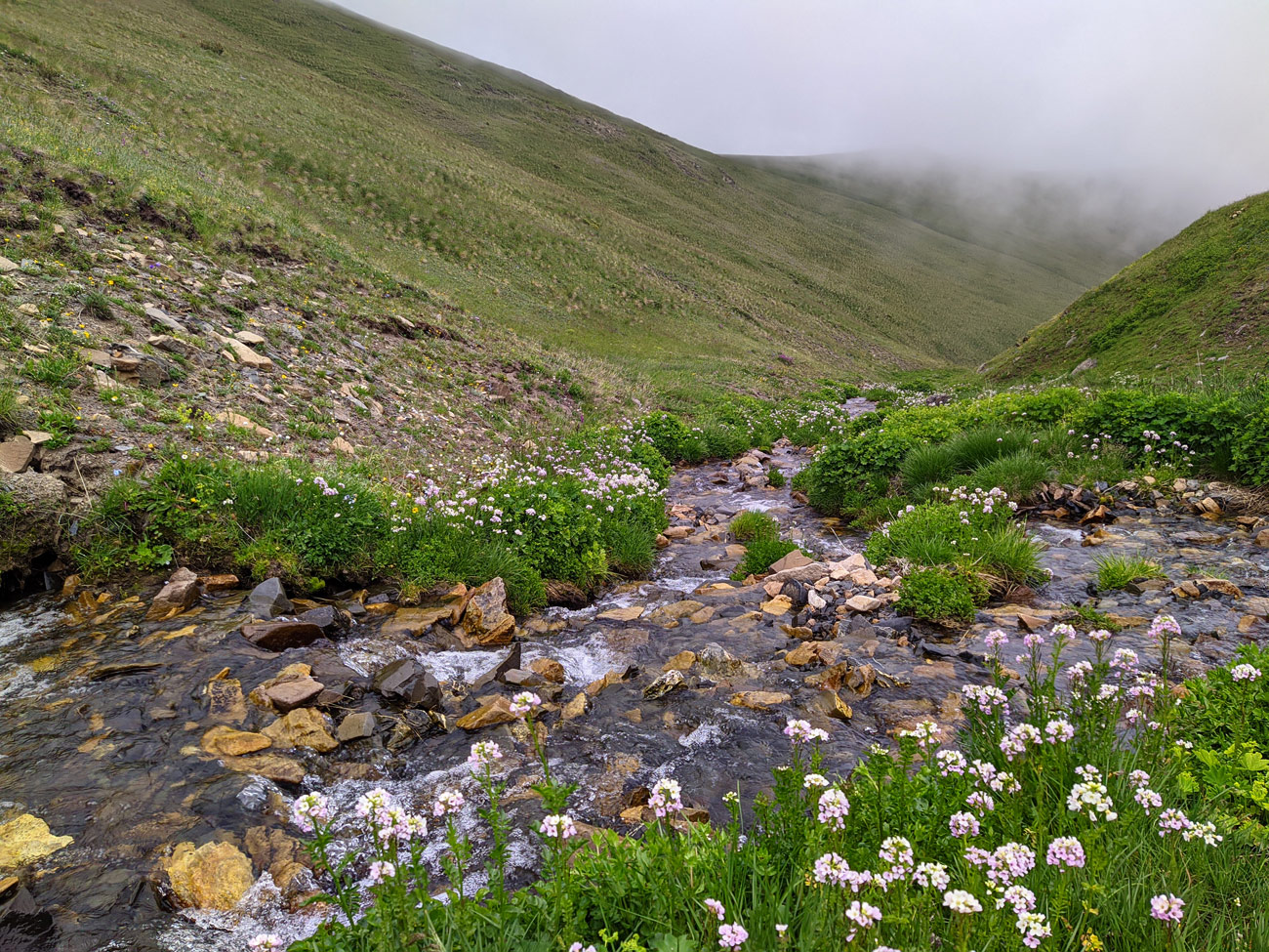 Долина реки Сардидон, image of landscape/habitat.