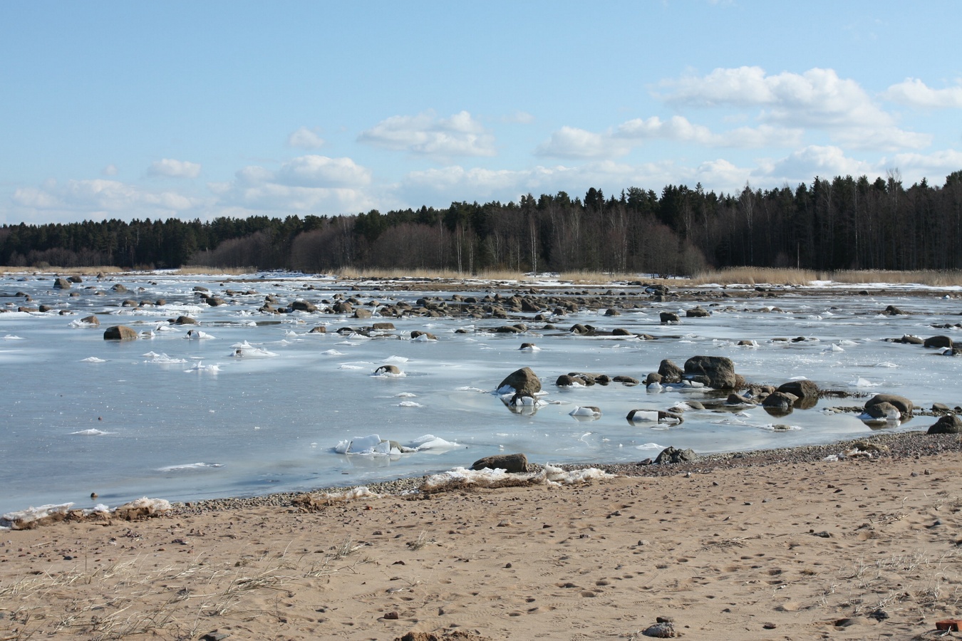 Шепелёвский маяк, image of landscape/habitat.