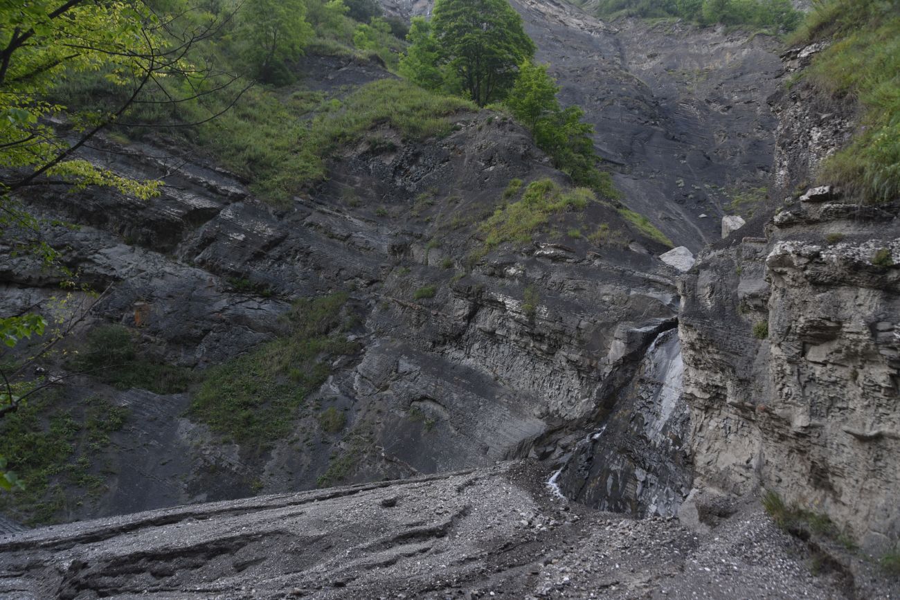 Левый приток реки Цесиахк, image of landscape/habitat.