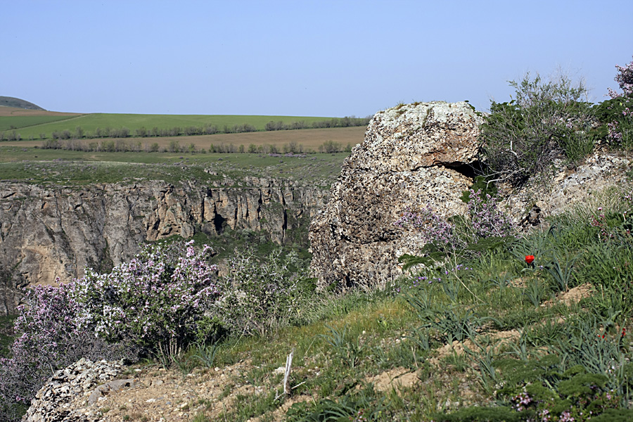 Ущелье Машат, image of landscape/habitat.