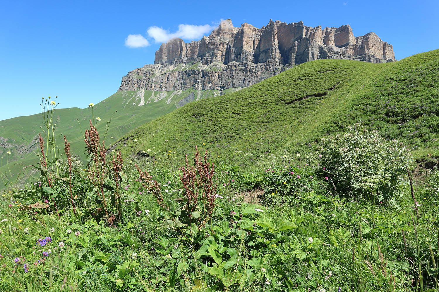 Перевал Северный Курноят, image of landscape/habitat.