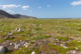 Териберка, image of landscape/habitat.
