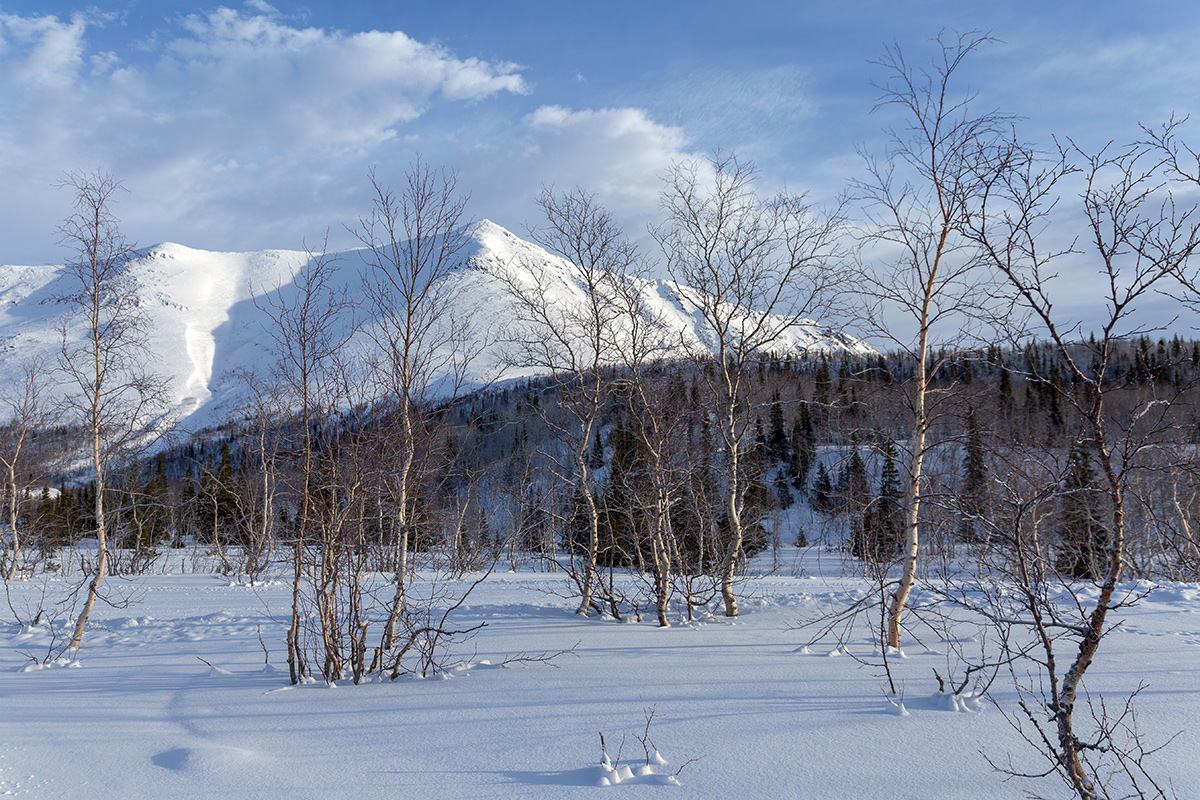 Кукисвумчорр, image of landscape/habitat.