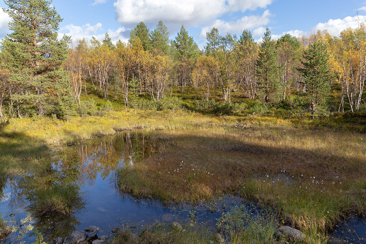 Река Ура, image of landscape/habitat.