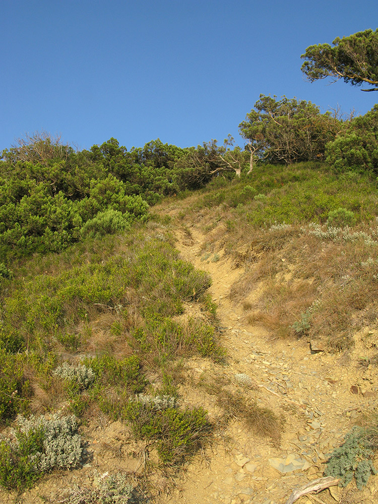 Большой Утриш, гора Солдатская, image of landscape/habitat.