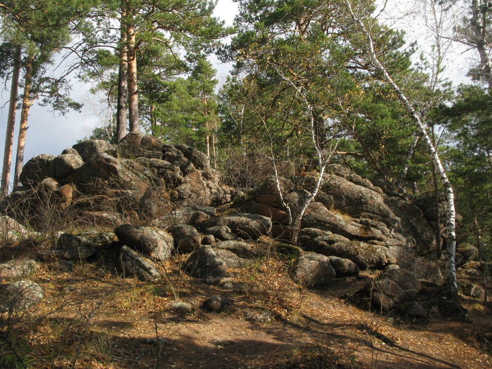 Такмак, image of landscape/habitat.