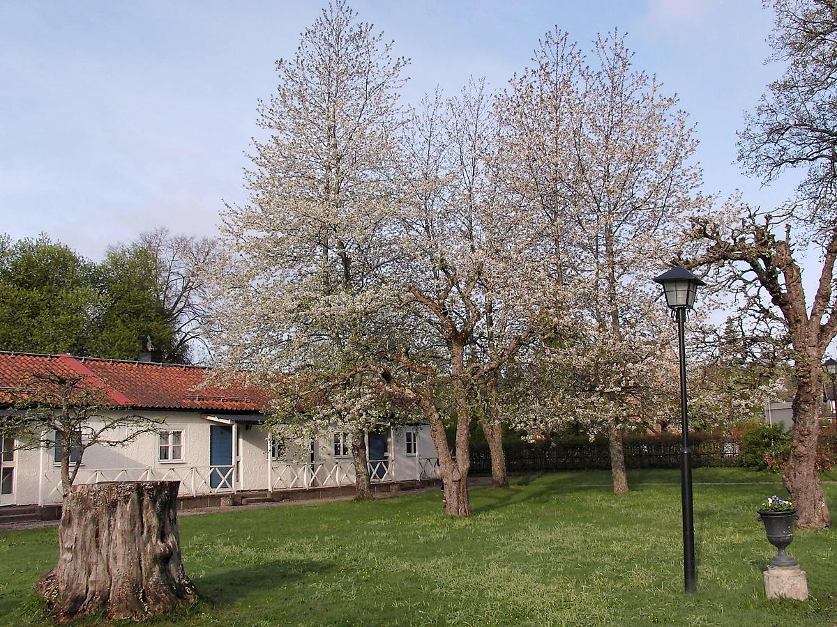 Суннерста, image of landscape/habitat.