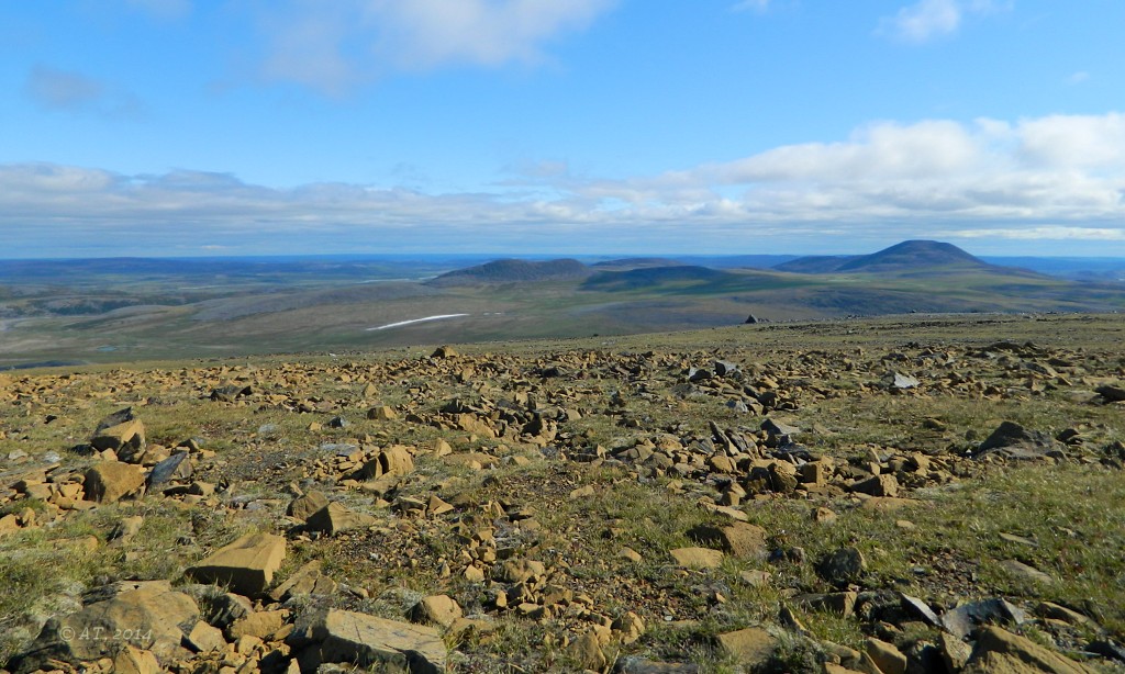 Изшор, image of landscape/habitat.