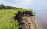Закамск, image of landscape/habitat.