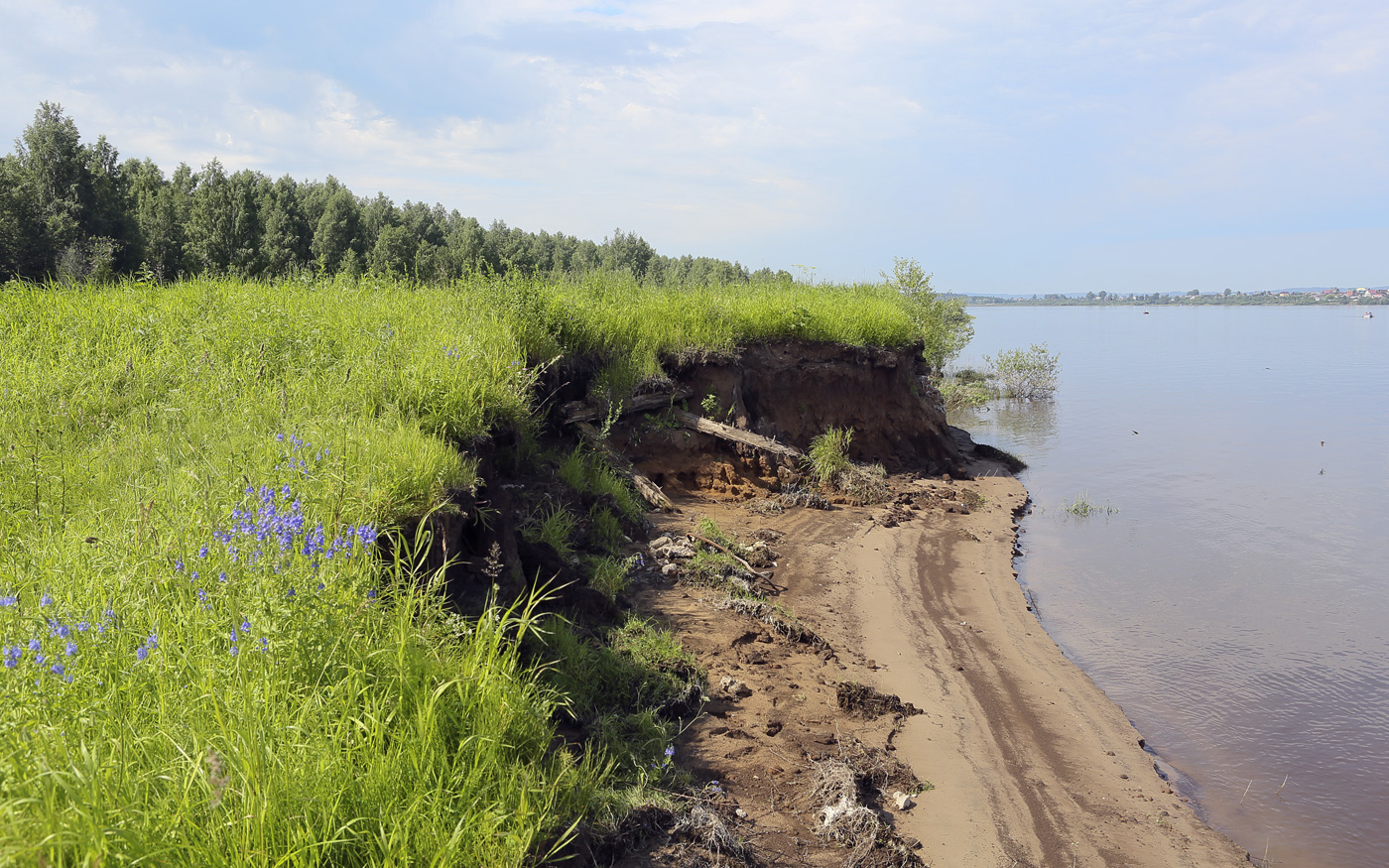 Закамск, image of landscape/habitat.