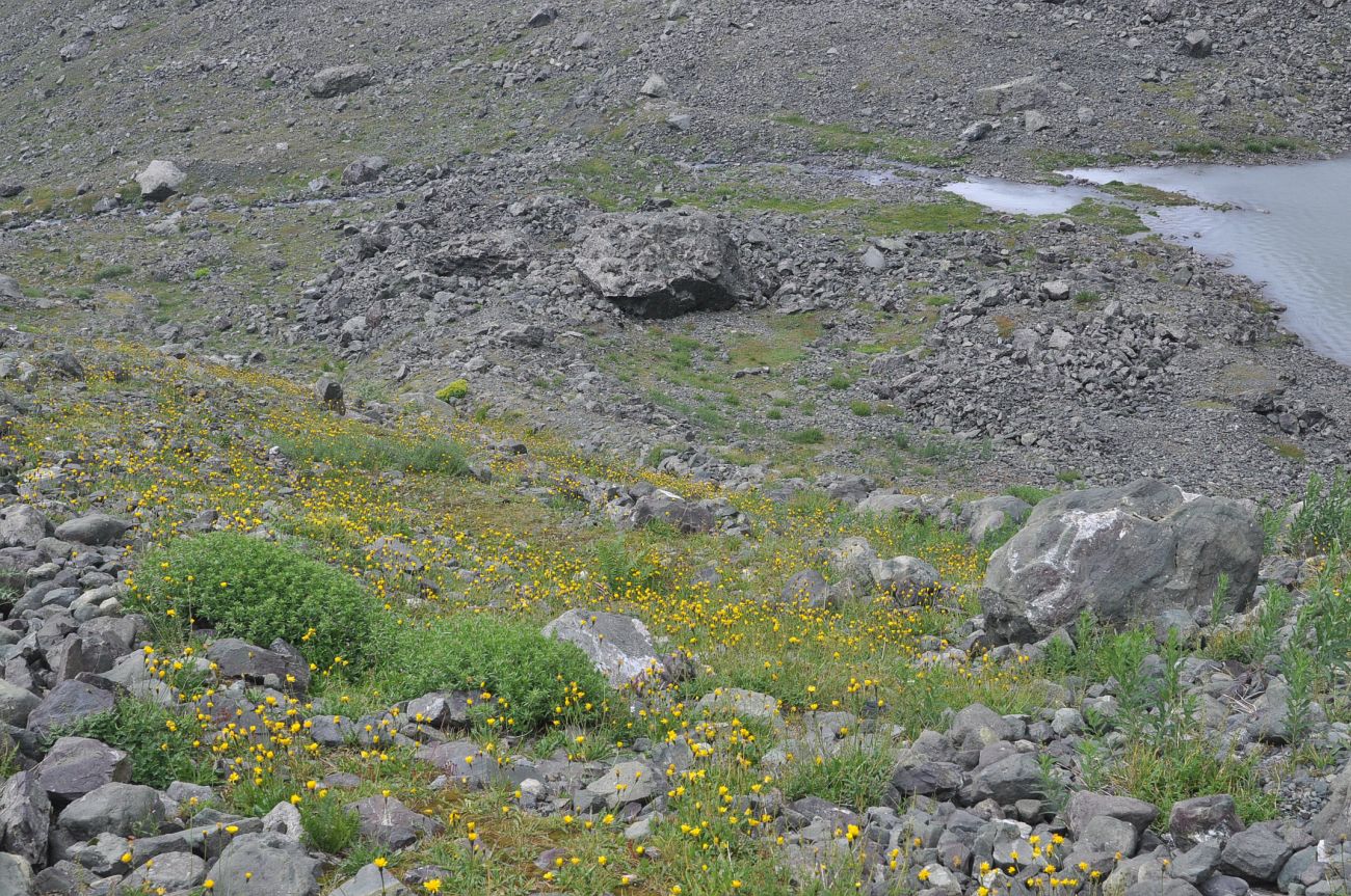 Окрестности озера Абуделаури, image of landscape/habitat.