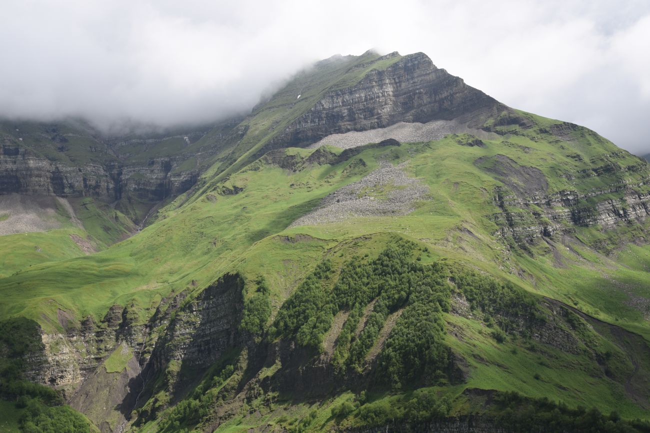 Верхнее течение Чадыри, image of landscape/habitat.