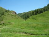 Image of landscape