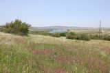 Image of landscape