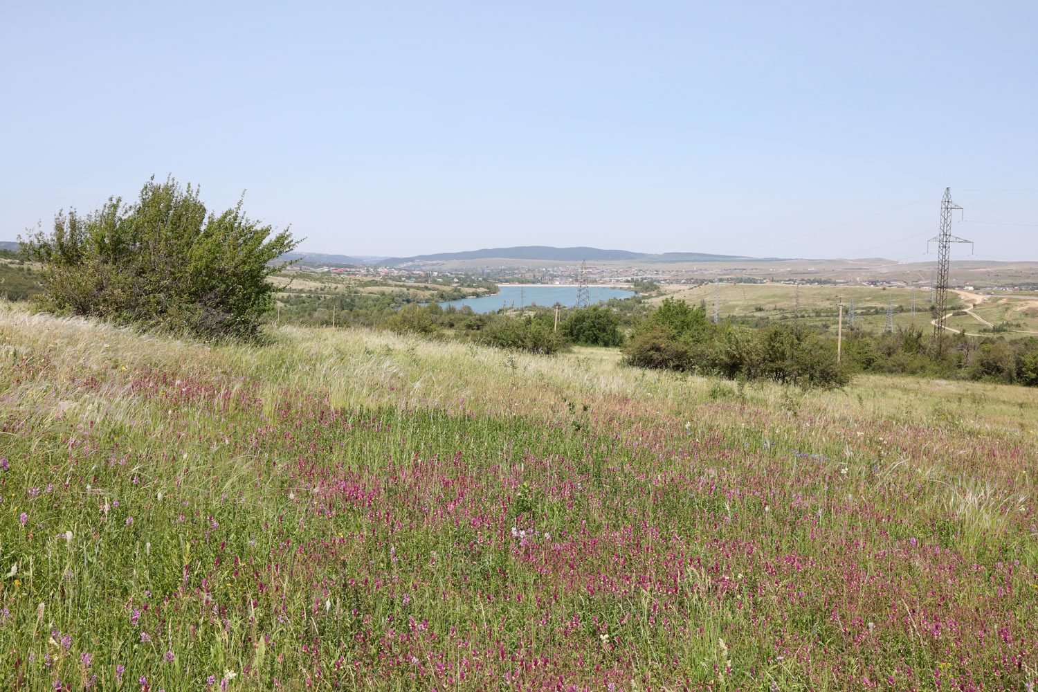 Урочище Аян, image of landscape/habitat.