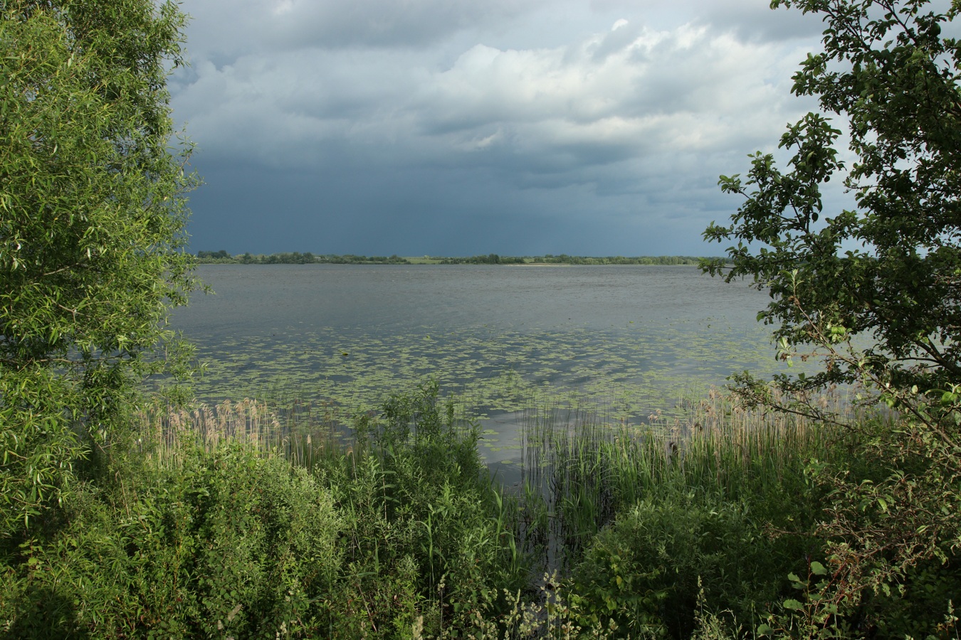 Езерище и окрестности, image of landscape/habitat.