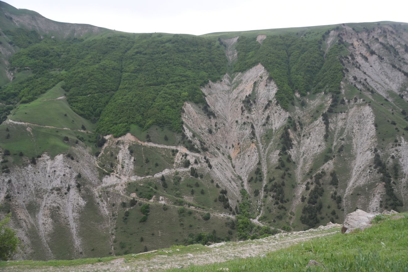 Кучанис, изображение ландшафта.