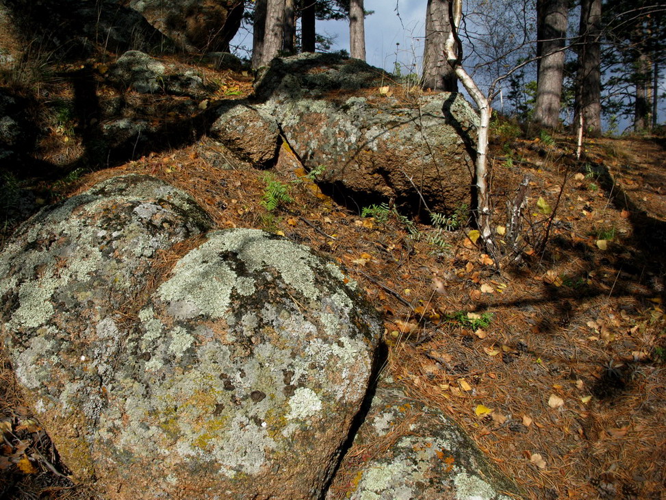 Такмак, image of landscape/habitat.