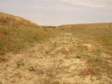 Зимовка Таскора, image of landscape/habitat.