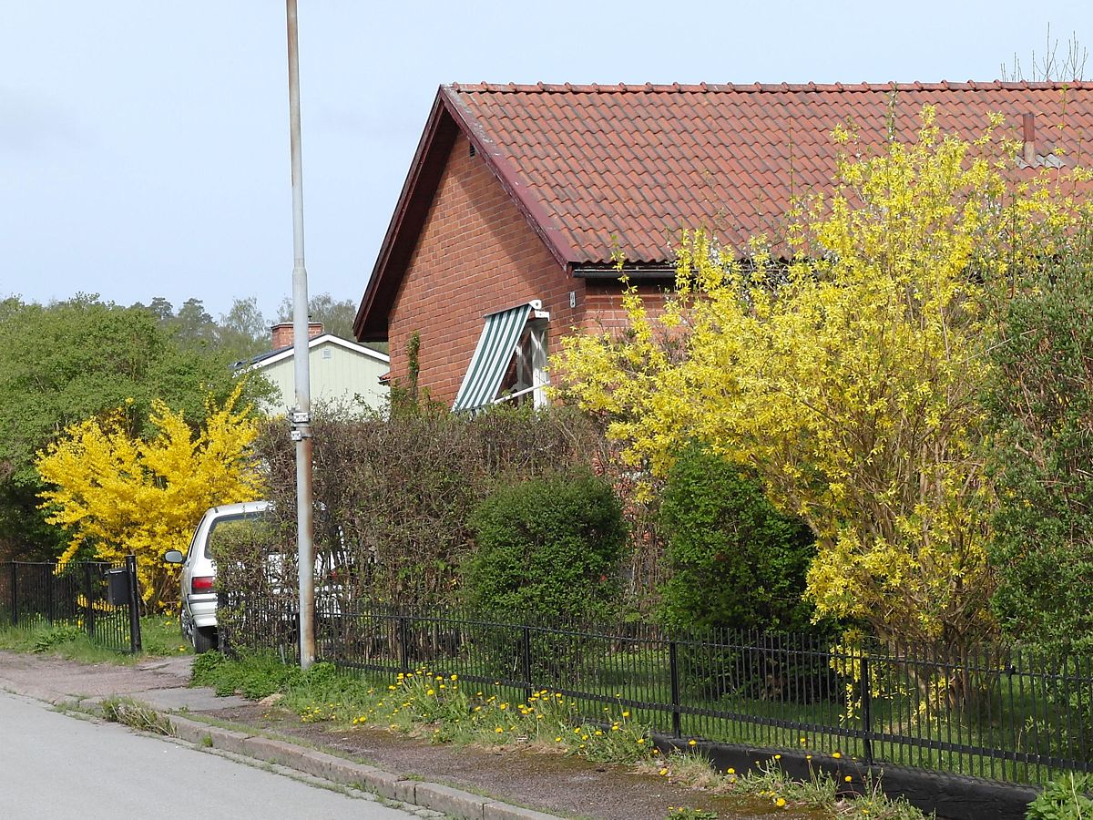 Суннерста, image of landscape/habitat.