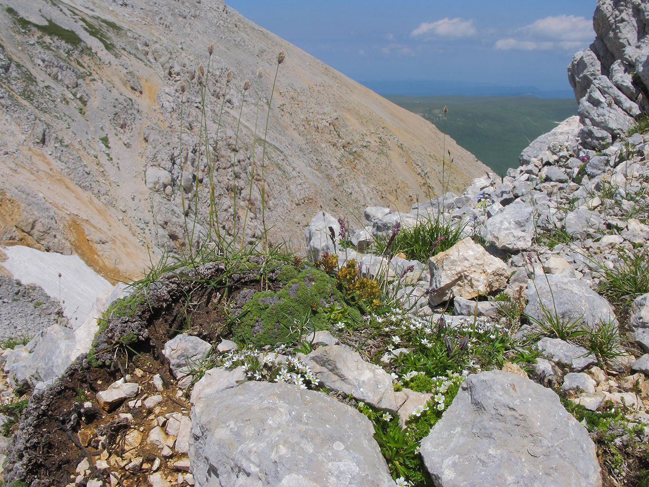 Оштен, image of landscape/habitat.