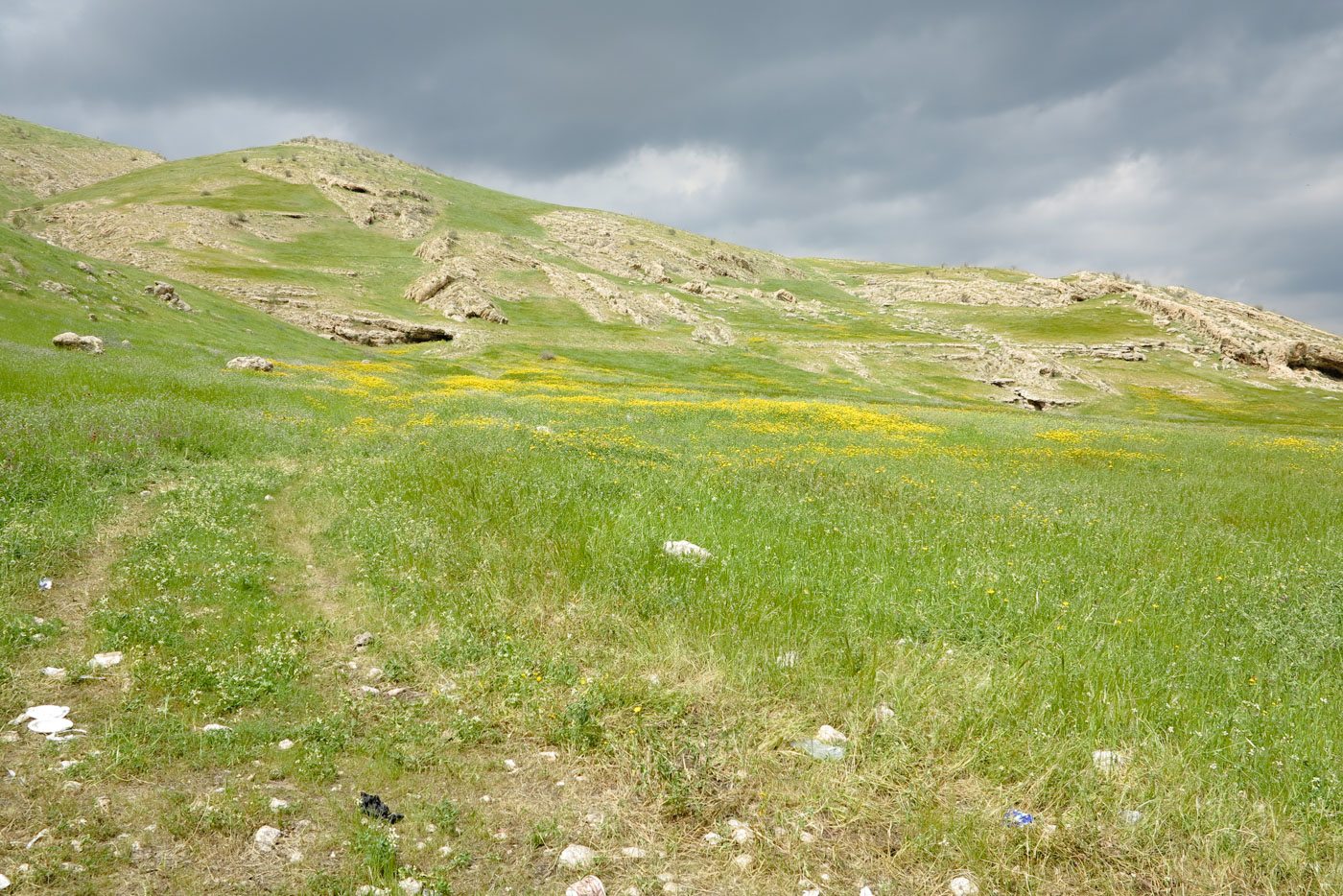 Самария, изображение ландшафта.