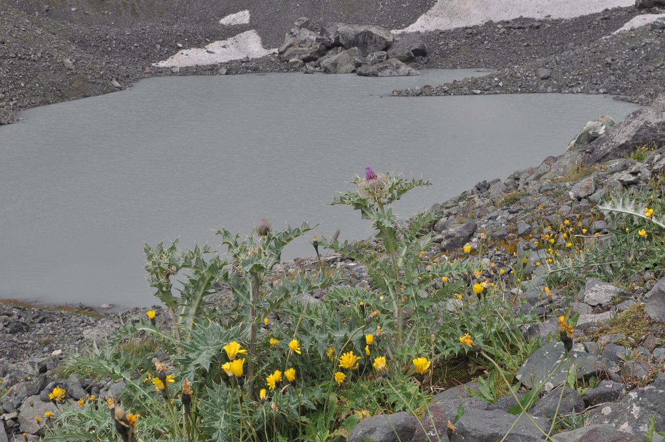 Окрестности озера Абуделаури, image of landscape/habitat.