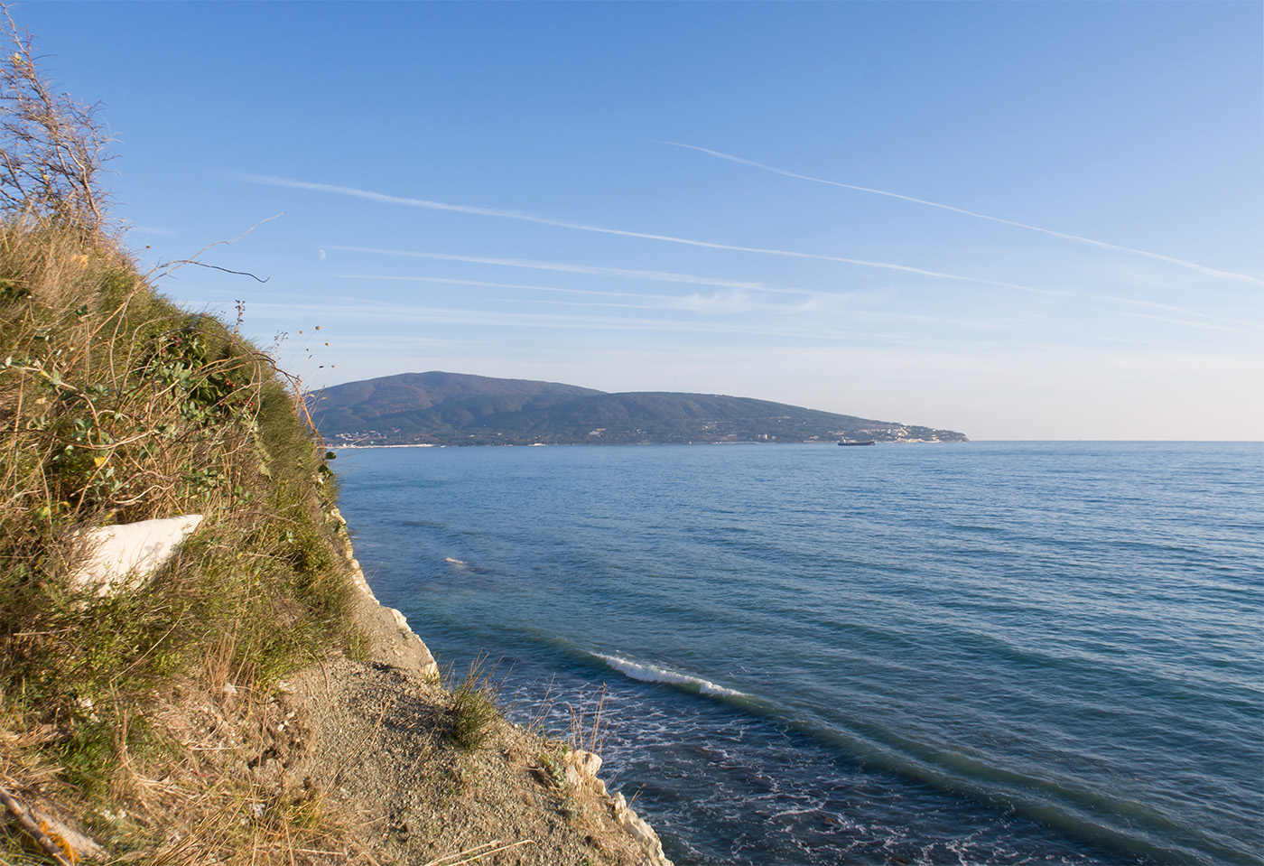 "Дикое место", image of landscape/habitat.