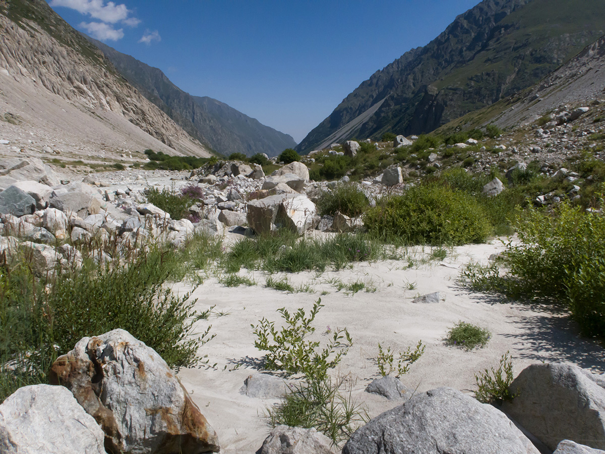 Черек-Безенгийское ущелье, изображение ландшафта.