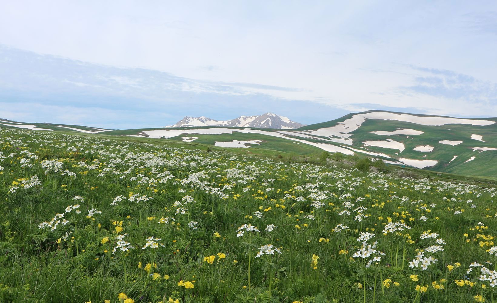 Каменное Море, image of landscape/habitat.