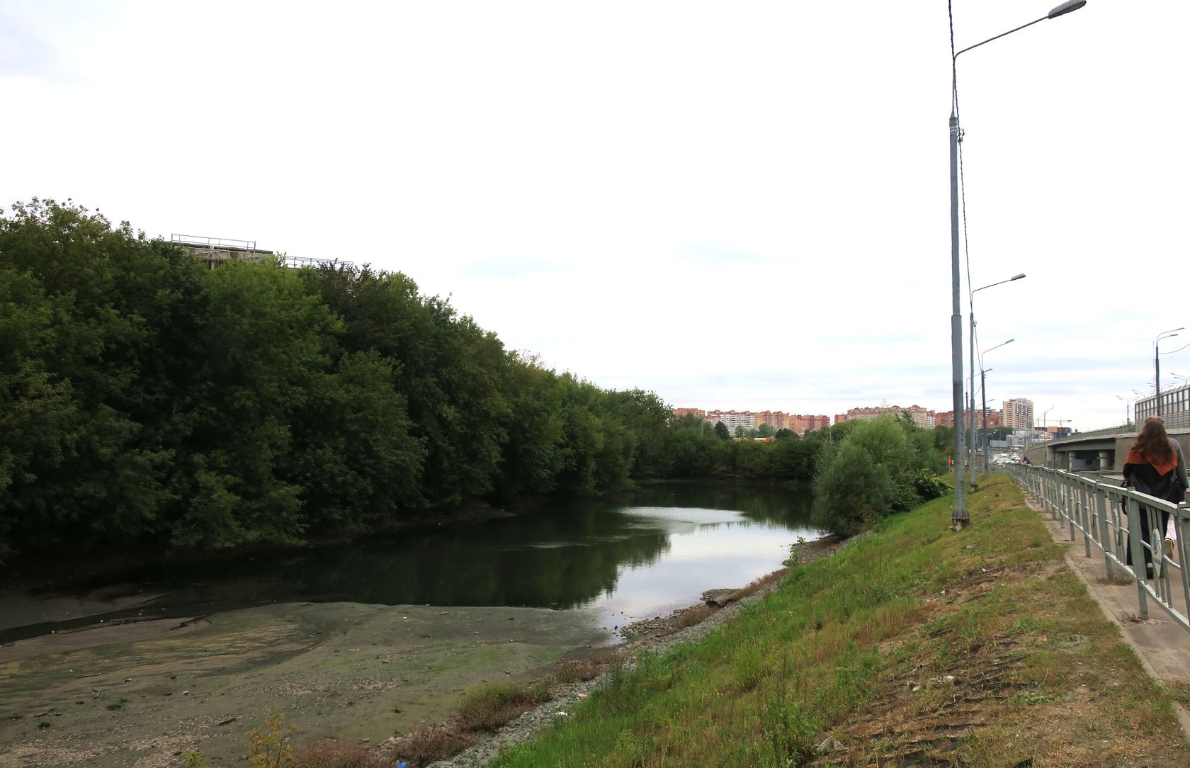 Пехра-Яковлевское, image of landscape/habitat.