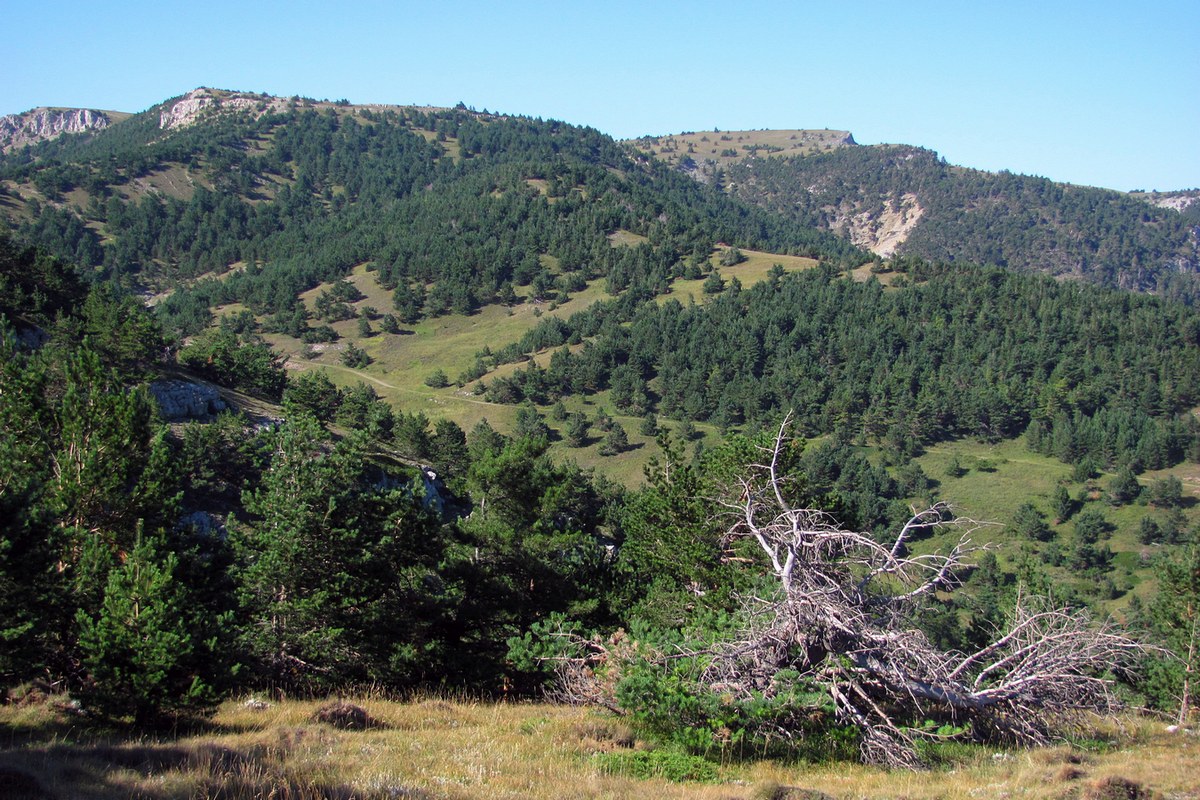 Бабуган, image of landscape/habitat.