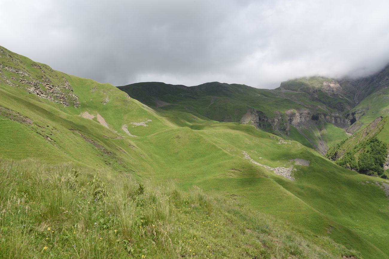 Верхнее течение Чадыри, image of landscape/habitat.
