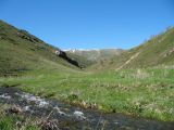 Image of landscape