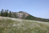 Image of landscape