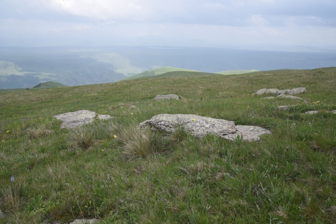Урочище Тба, изображение ландшафта.