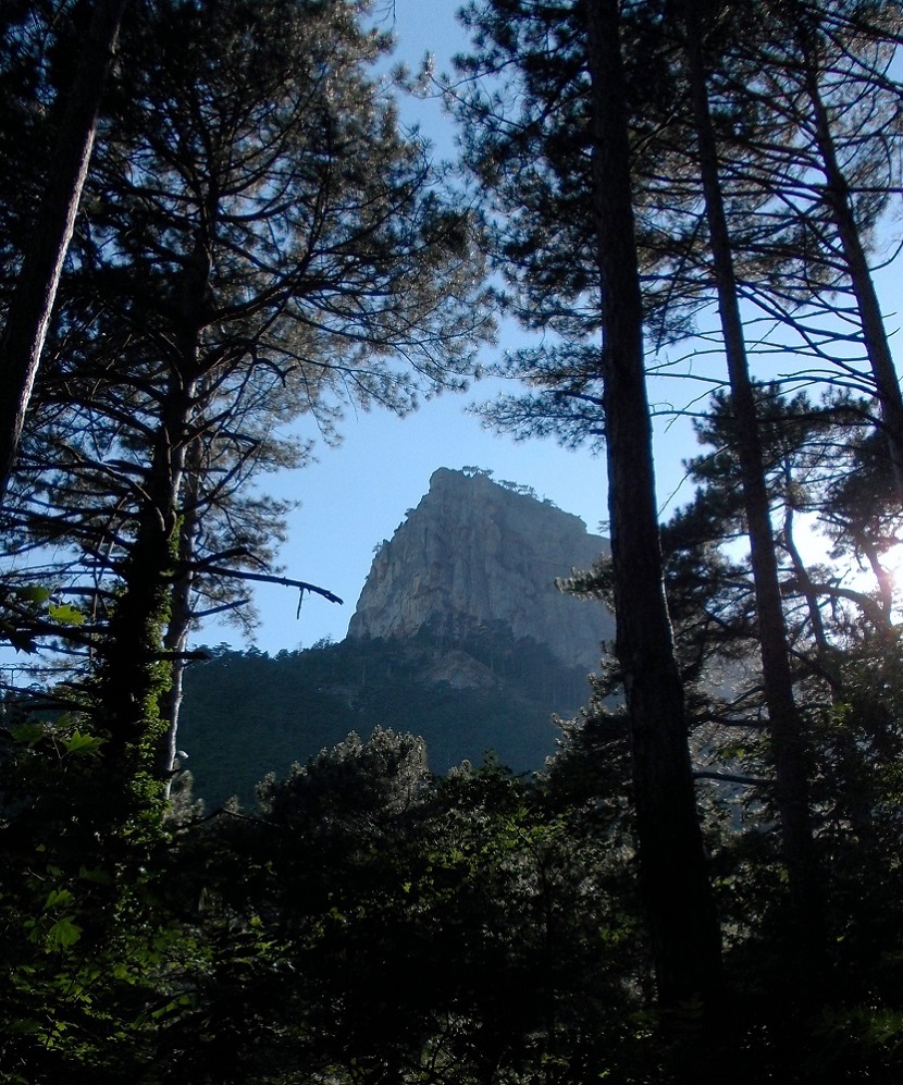 Боткинская тропа, image of landscape/habitat.