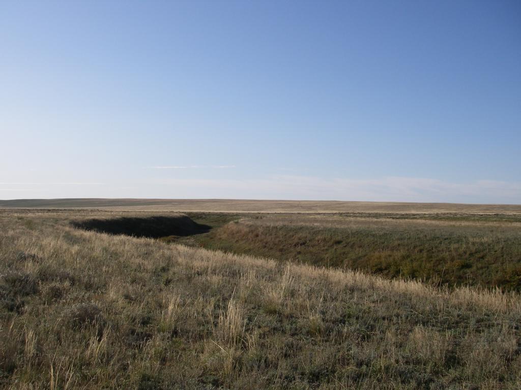 Зимовка Таскора, image of landscape/habitat.