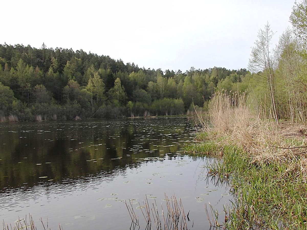 Суннерста, image of landscape/habitat.
